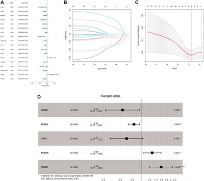 Multi-Omics Prognostic Signatures Based on Lipid Metabolism for Colorectal Cancer